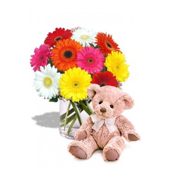 Gerbera Bouquet with Teddy