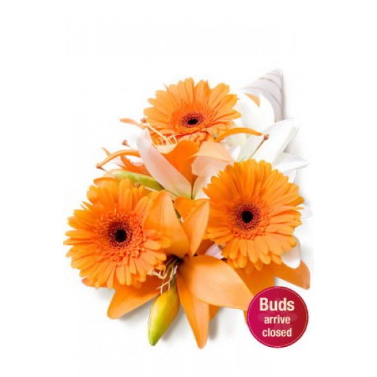 Asiatic and Gerbera Bouquet