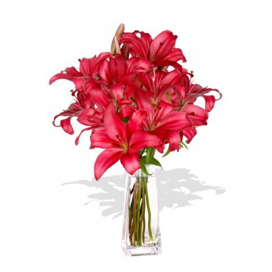 4 Pink Asiatic Lily Vase Bouquet