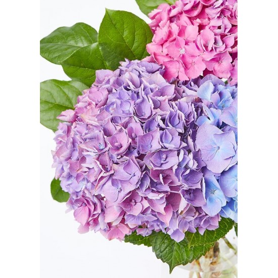 The Andrea Vase Bouquet - Three Hydrangea